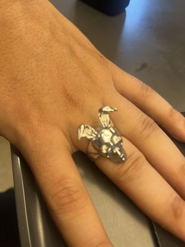 Customer photo review of Rabbit Skull 100% Stainless Steel Ring