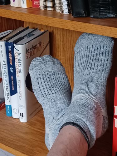 Customer photo review of J.B. Field's "Technical Explorer" Merino/Coolmax Low-Cut Hiking Sock