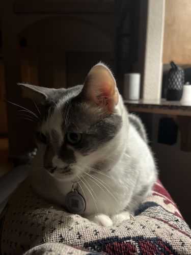 Customer photo review of Black