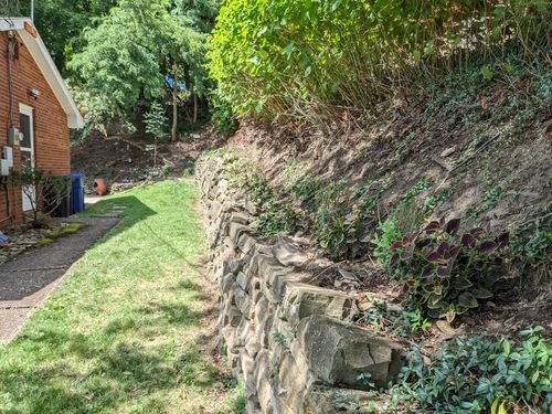 Customer photo review of Vinca Minor Bowles 50 count Flat