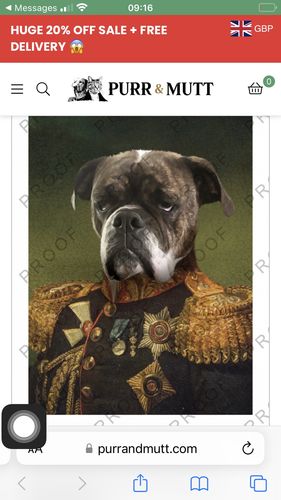 Customer photo review of The General - Custom Vintage Pet Portrait