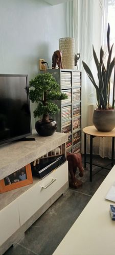 Customer photo review of Bonsai Kunstplant 47cm