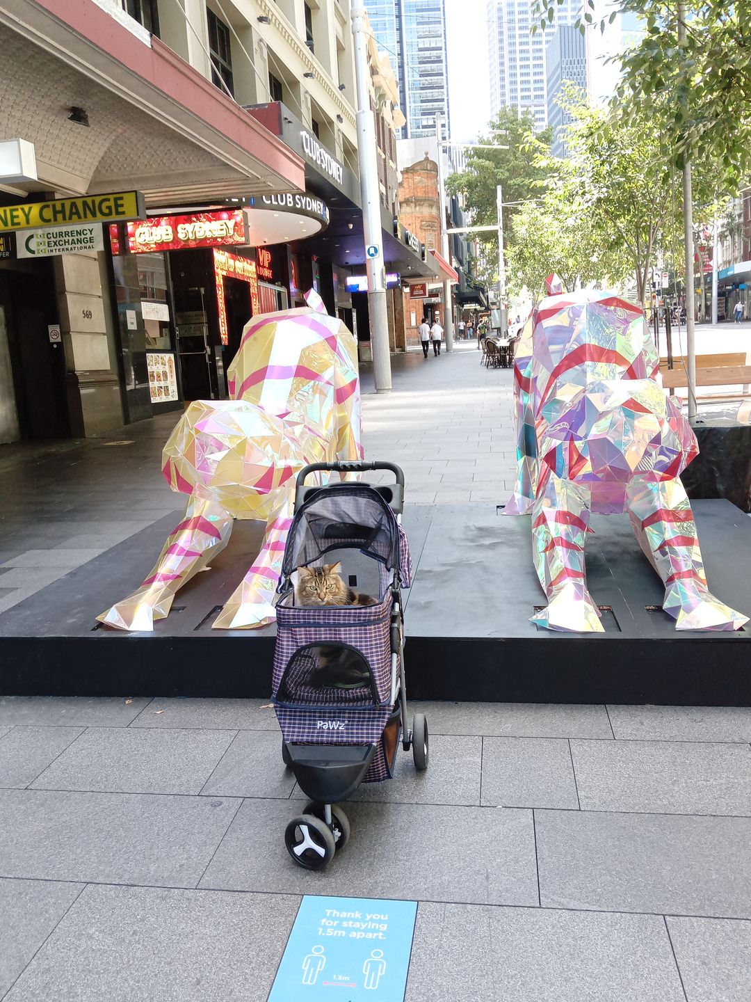 Customer photo review of PaWz Large Pet Stroller Dog Cat Carrier
