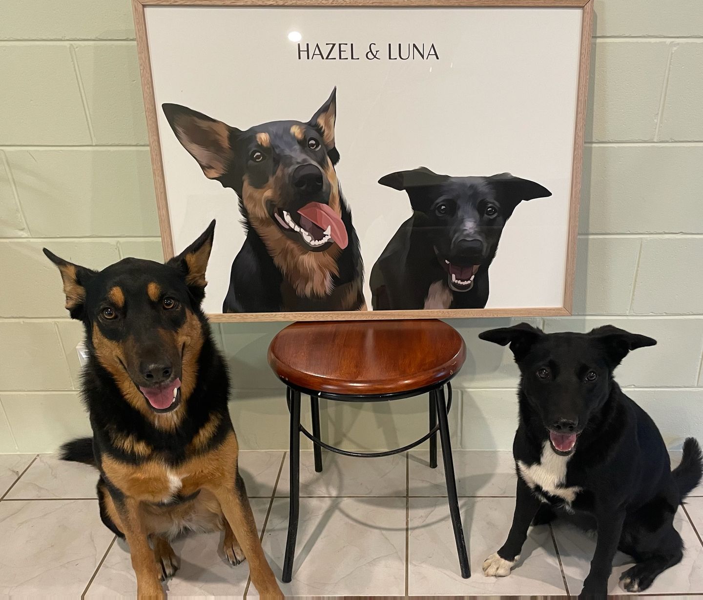 Customer photo review of Two-Pet Portrait