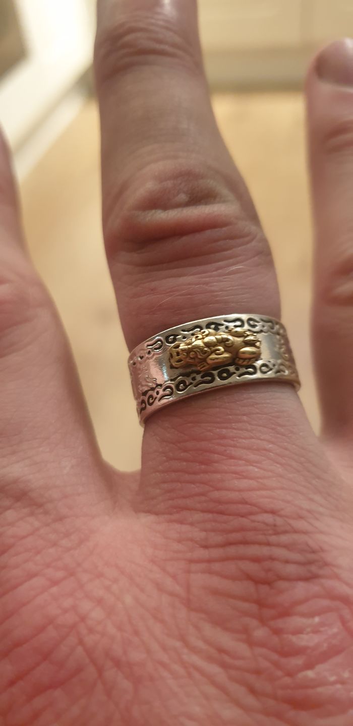 Customer photo review of Lucky Feng Shui Pixiu Wealth & Protection Ring