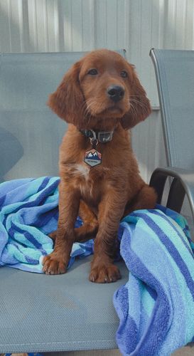 Customer photo review of Explorer Silicone