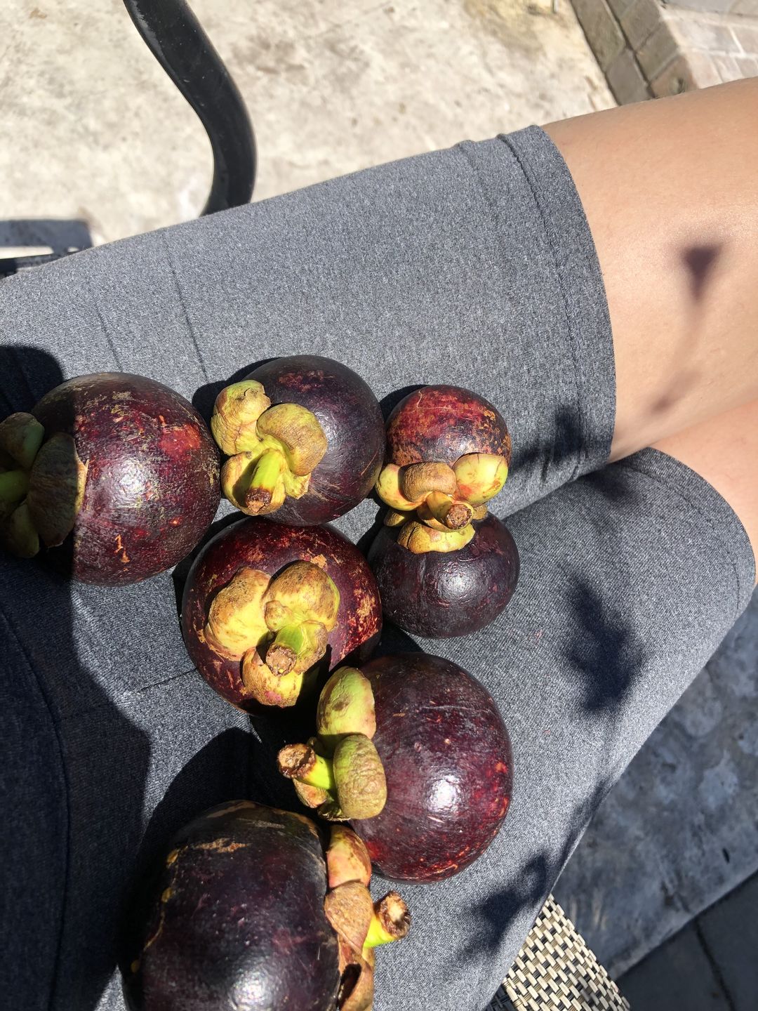 Customer photo review of Mangosteen Box