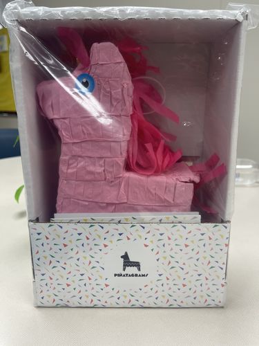 Customer photo review of Piñatagram™