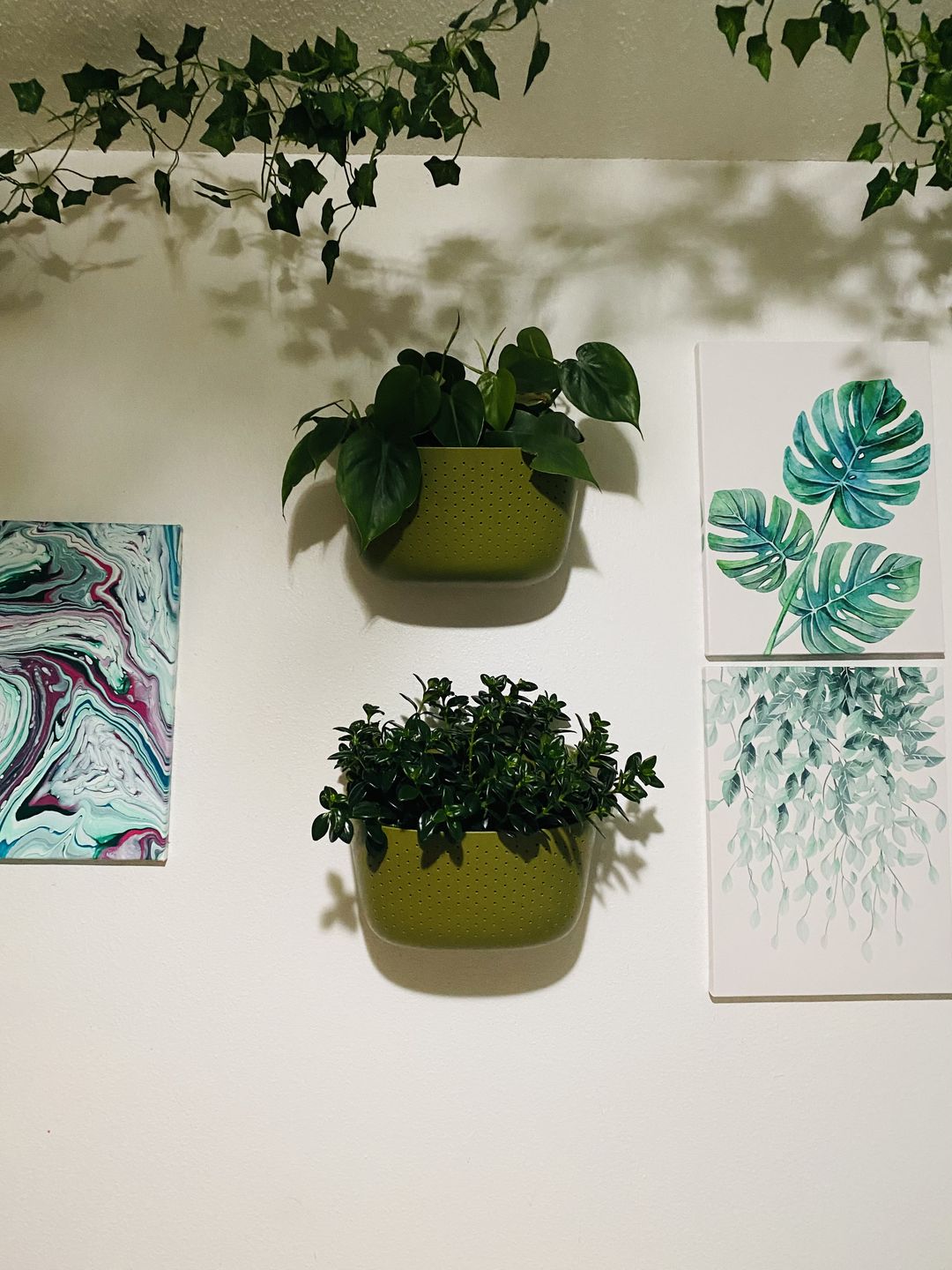Customer photo review of Eco Olive Wall Planter