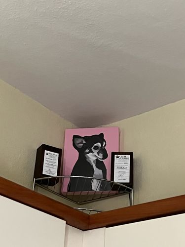 Customer photo review of Custom Wrapped PetCanva
