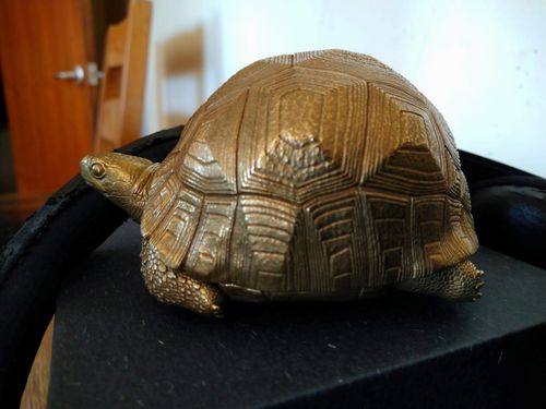 Customer photo review of Bronze Tortoise Box