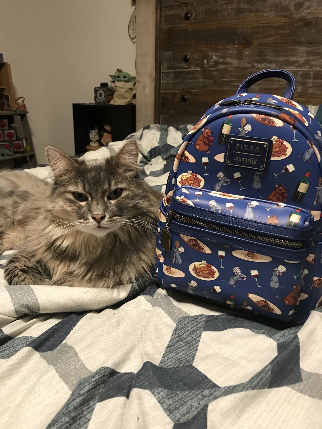 Customer photo review of 707 Street Exclusive -  Loungefly Disney Pixar Ratatouille Remy and Emile Allover Print Mini Backpack