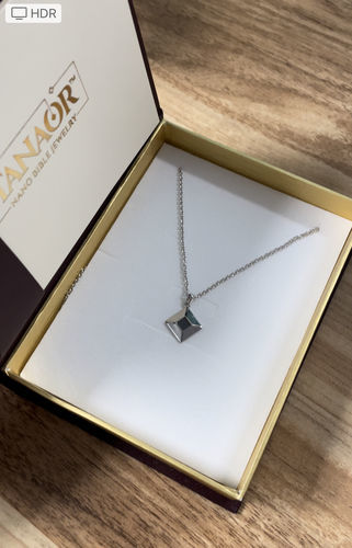Customer photo review of Classic TANAOR Necklace