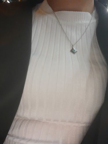 Customer photo review of Classic TANAOR Necklace