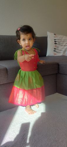 The Nesavu customer review from Shruthi D.
