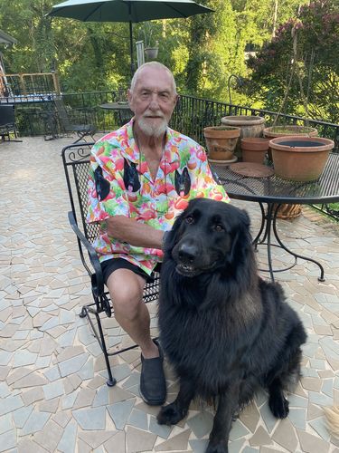 Customer photo review of Custom Hawaiian Shirt (Flamingo Paradise: 1-4 Pets)