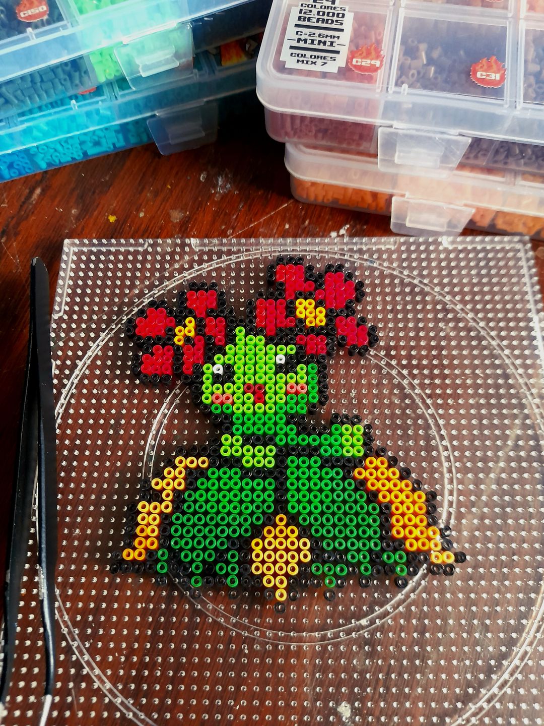 Customer photo review of Caja Organizadora 24 Espacios - 12.000 Beads MINI 2.6mm