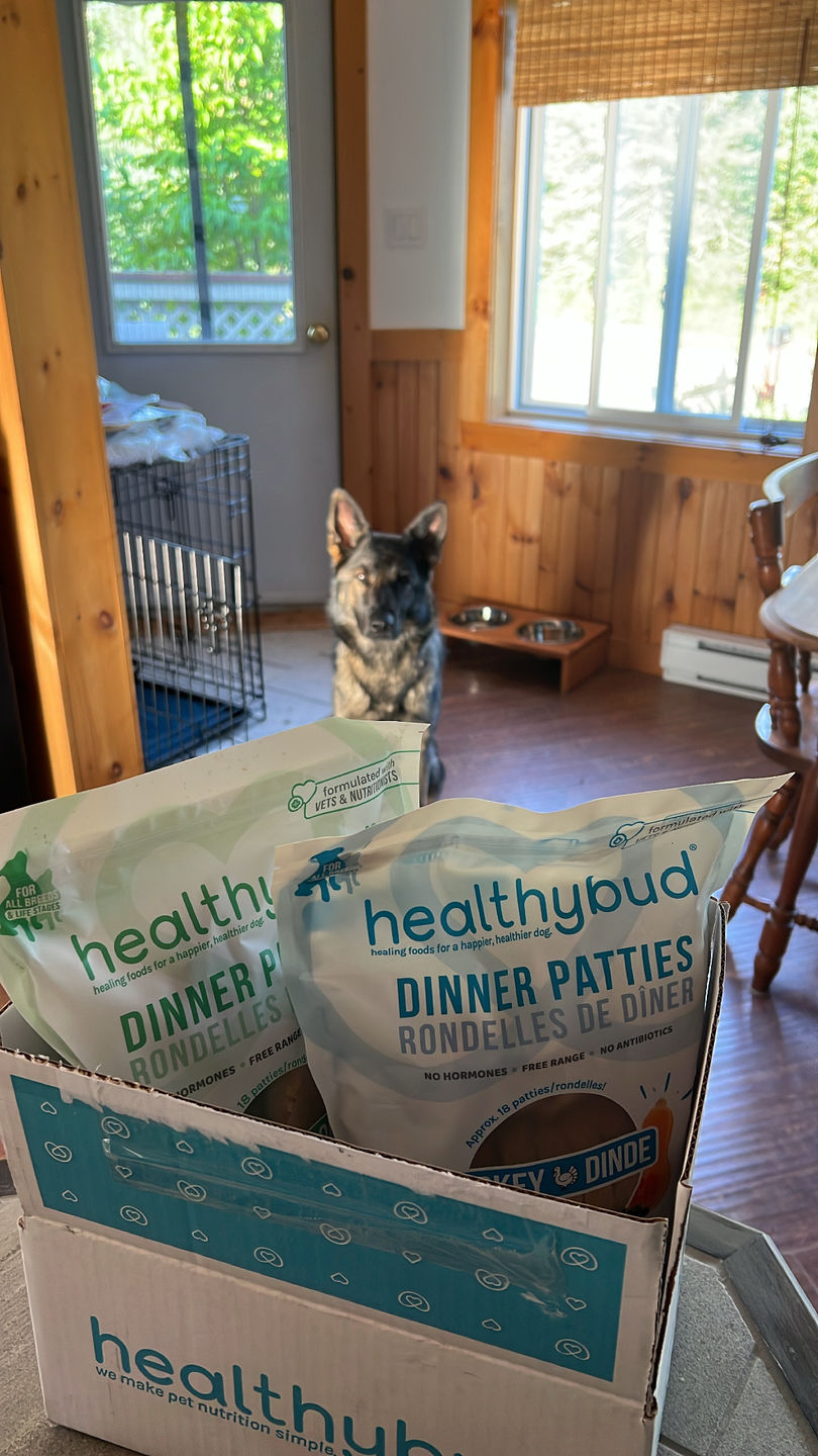 Customer photo review of Turkey Meal Patties
