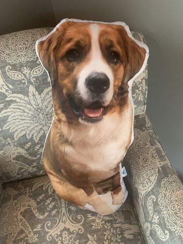 Customer photo review of Create A Custom Dog Pillow