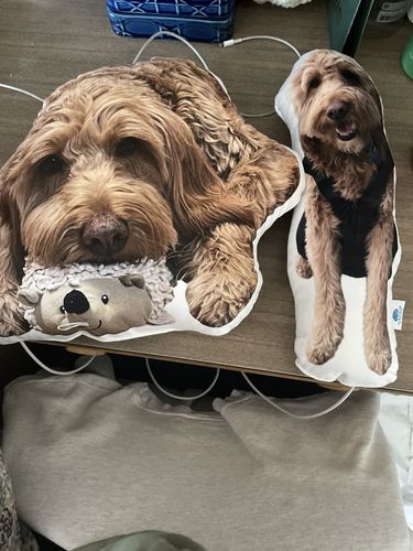 Customer photo review of Create A Custom Dog Pillow