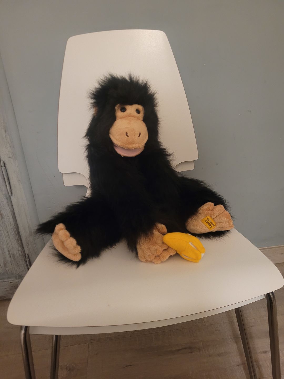Customer photo review of Singe Marionnette