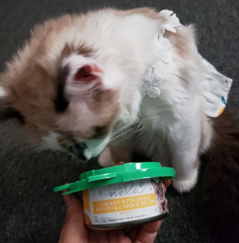Customer photo review of Love, Nala Chicken Flaked With Carrot & Sweet Potato Recipe Dinner In Broth Adult Cat Food, 2.8-oz, Case of 12