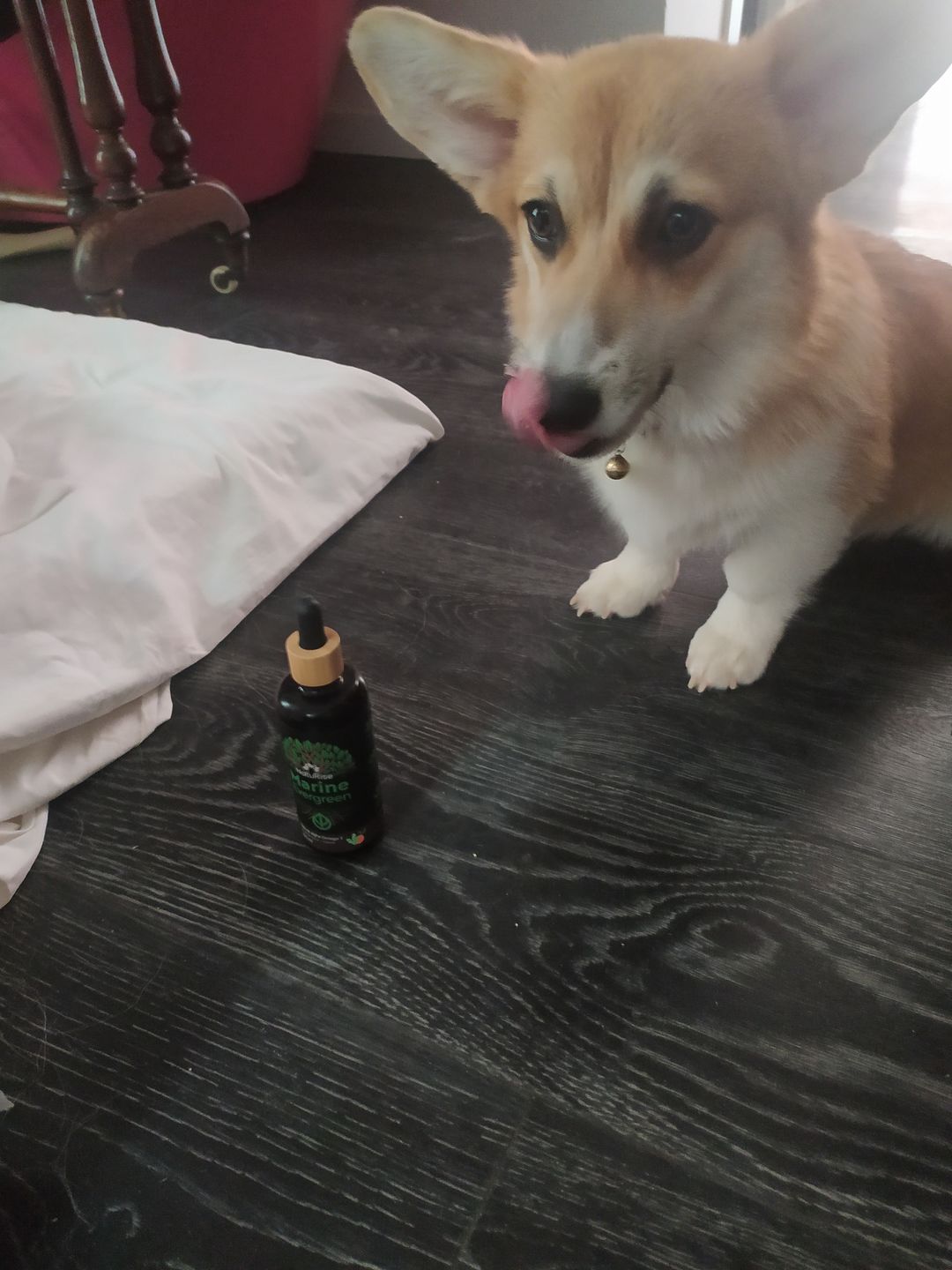 Customer photo review of Olio di alghe Omega 3 (100ml)