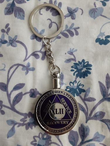 Customer photo review of 34mm Standard Size AA Medallion Keychain - Tri-Plate Chip/Coin/Token Holder - Silver