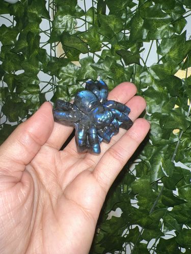 Customer photo review of High Flash Labradorite Spiders 🕷