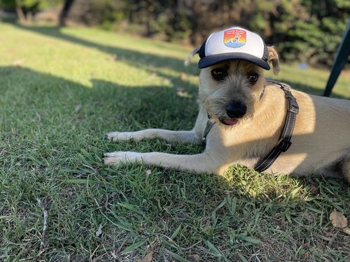 Customer photo review of Playa Poncho - Surprise Color