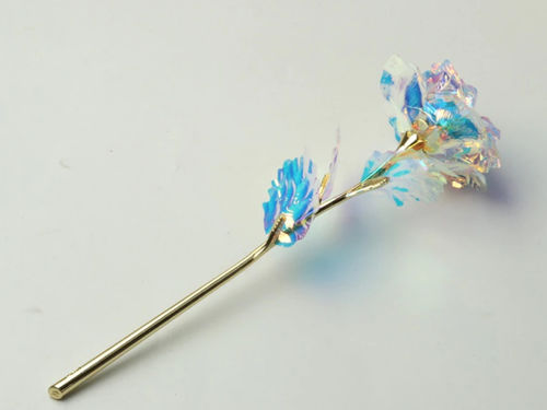 Customer photo review of Single Galaxy Rose