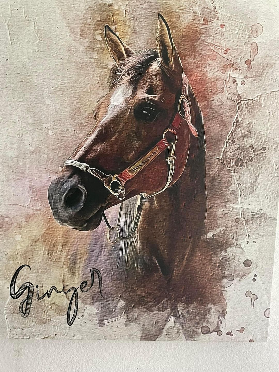 Customer photo review of Personalized Horse portrait
