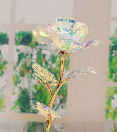 Customer photo review of Single Galaxy Rose