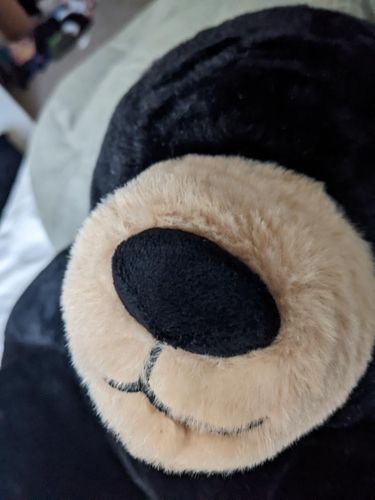 Customer photo review of SKOGGY BEAR