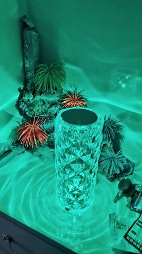 Customer photo review of Crystal Rose Lamp