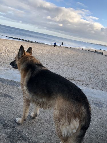 Customer photo review of Eden Original Cuisine