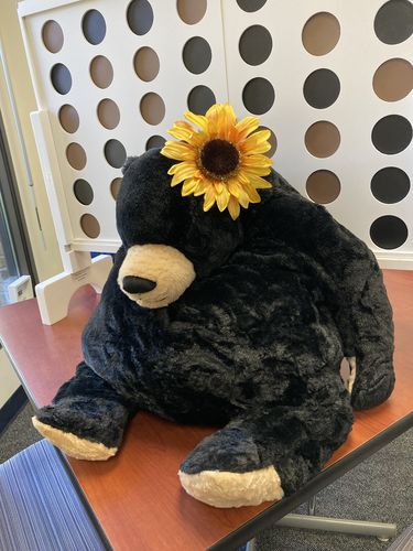 Customer photo review of SKOGGY BEAR