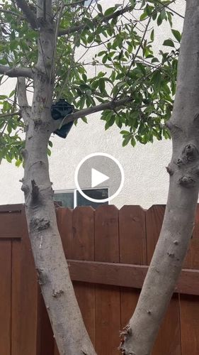Customer video review of Discreet Neighbor Pack – MAX