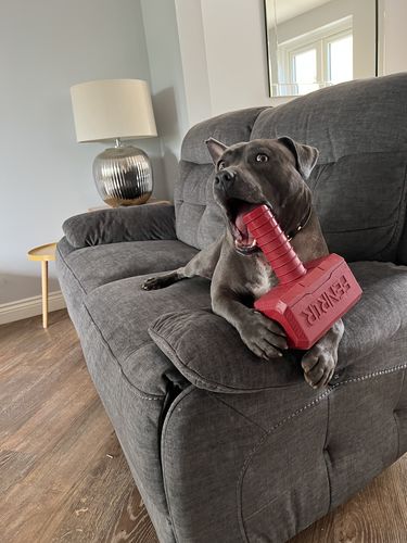 Customer photo review of The Fenrir Hammer