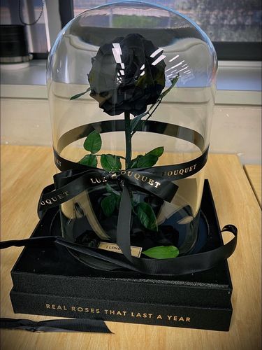 Customer photo review of The Everlasting Rose - Black