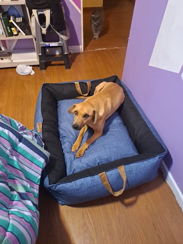 Customer photo review of Cama Para Perro Modelo Nido Kuapets Azul jeans - Negro