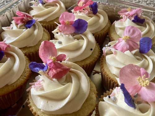 Customer photo review of BEGONIA - Freeze Dried Edible Flowers