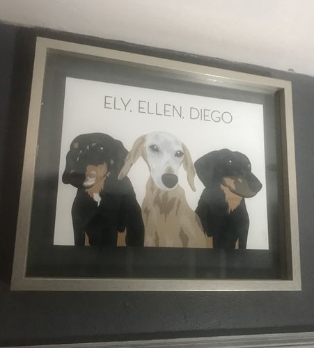 Customer photo review of Custom Pet(s) Portrait