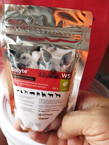 Customer photo review of Biolyte WS