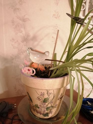 Customer photo review of Mon petit oiseau - Le Jardin de Mamie®