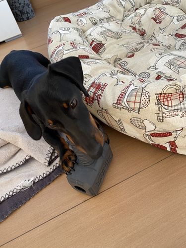 Customer photo review of The Fenrir Hammer