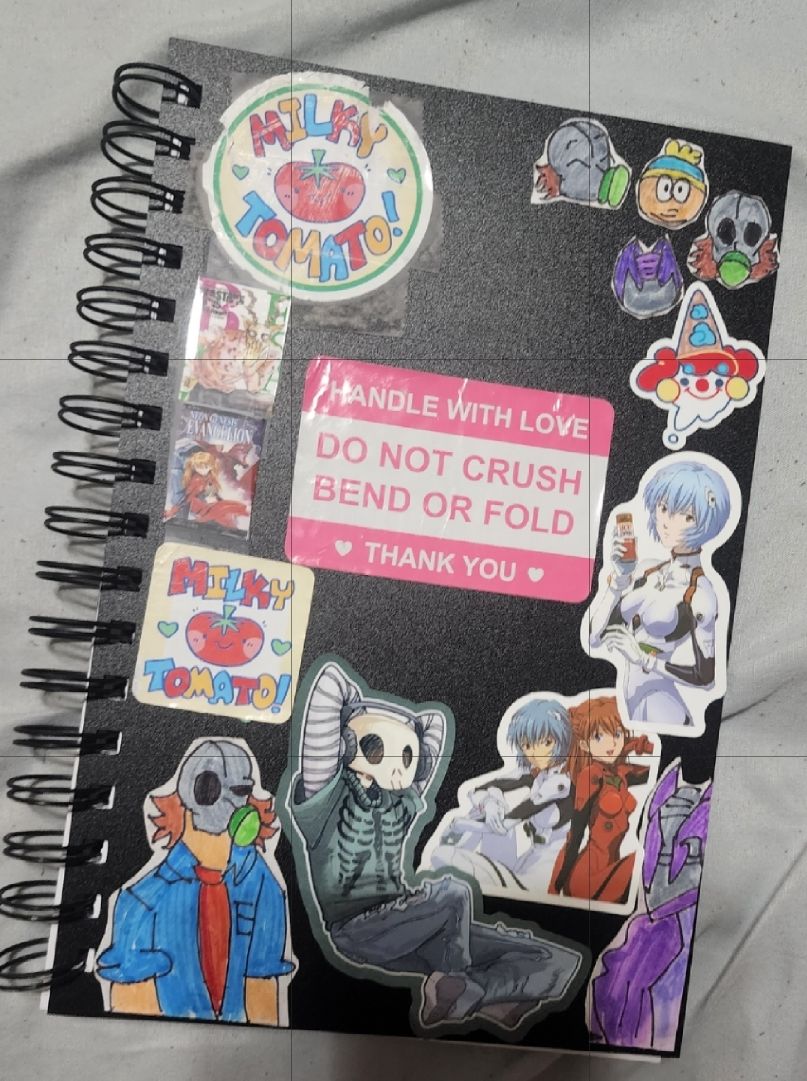 Customer photo review of Aesthetic Skeleton Stickers