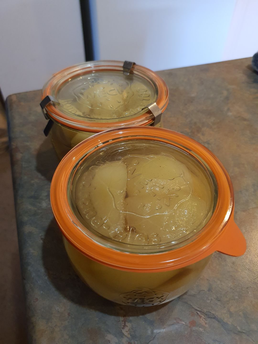Customer photo review of WECK CLIPS Replacement 12pc