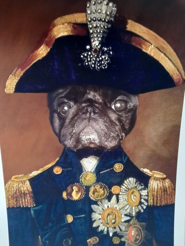 Customer photo review of Lord Nelson - Custom Vintage Pet Portrait