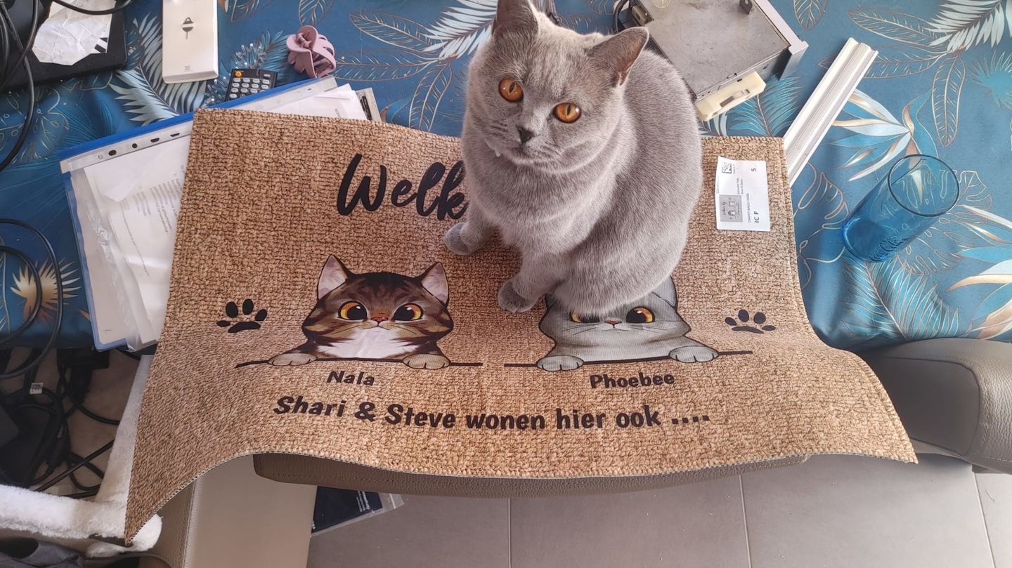 Customer photo review of Welkom bij nieuwsgierige katten - Gepersonaliseerde deurmat